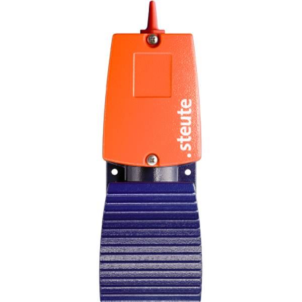 53191201 Steute   